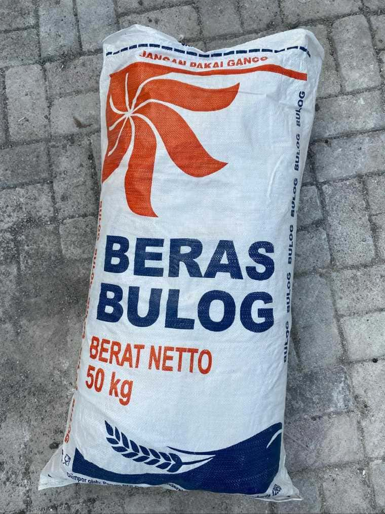 Kemasan karung plastik